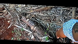 porno 3d premium