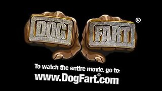 brazzers rachel starr riley reid cherie deville kendra lust romi rain nicole aniston whats up doc the best