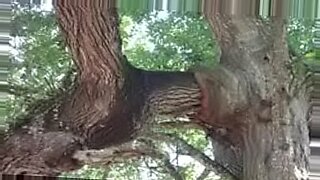 xvideo squiring
